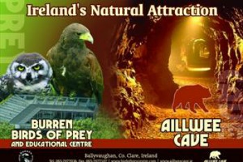 Aillwee Cave & The Birds Of Prey Centre