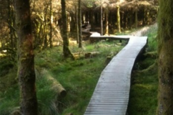 Ballyhoura Mountain Bike Trail Network